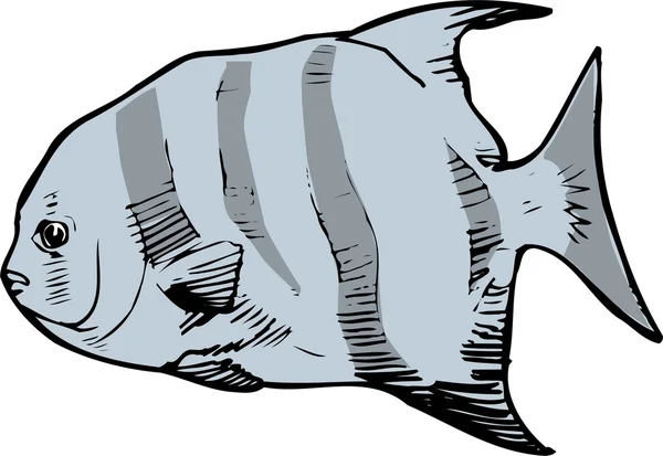 Mooie vissen vector — Stockvector