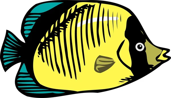 美しい魚ベクトル — ストックベクタ