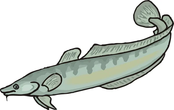 Schöner Fischvektor — Stockvektor