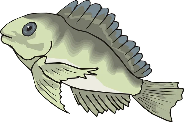 Красиво риби вектор — стоковий вектор