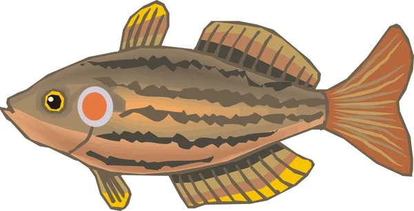 Piękna ryba wektor — Wektor stockowy