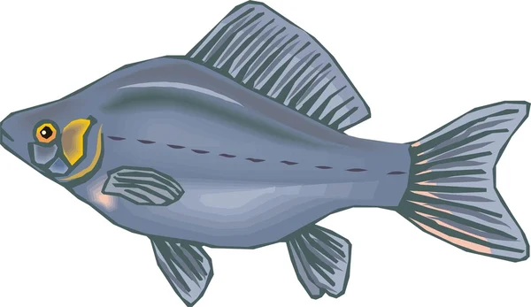 Beau vecteur de poisson — Image vectorielle