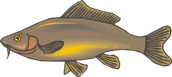 Piękna ryba wektor — Wektor stockowy