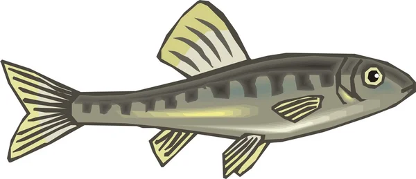 Bellissimo vettore di pesce — Vettoriale Stock