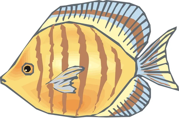 아름 다운 물고기 벡터 — 스톡 벡터