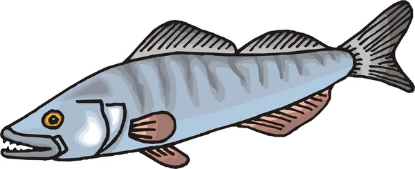 Vetor de peixe bonito — Vetor de Stock