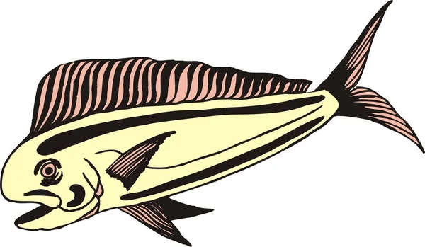 Bellissimo vettore di pesce — Vettoriale Stock