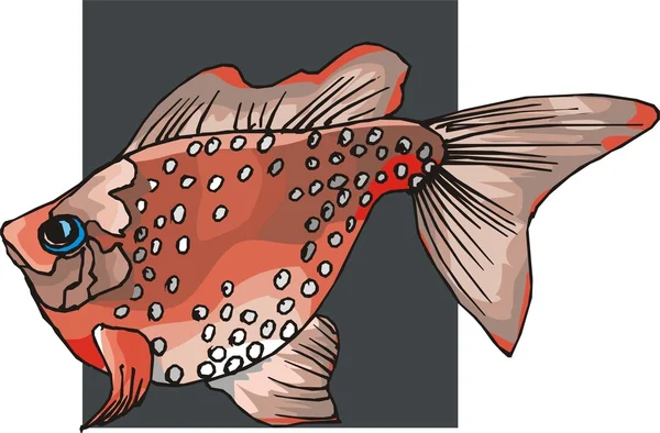 Vettore di pesce bello sullo sfondo — Vettoriale Stock