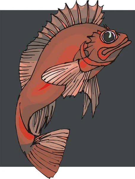 Beau vecteur de poisson sur fond — Image vectorielle