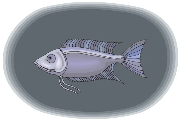 Красивий рибний вектор на тлі — стоковий вектор