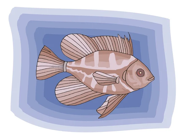 Όμορφο ψάρι διάνυσμα σε φόντο — Διανυσματικό Αρχείο