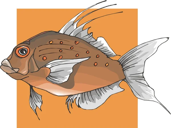 Krásná ryba vektor na pozadí — Stockový vektor