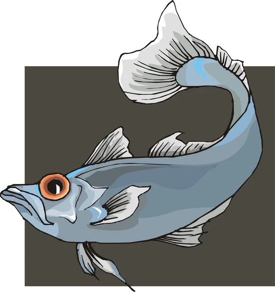 Vacker fisk vektor på bakgrund — Stock vektor