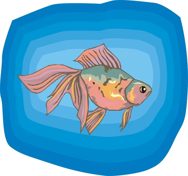Beautiful Fish Vector On Background — Stock Vector