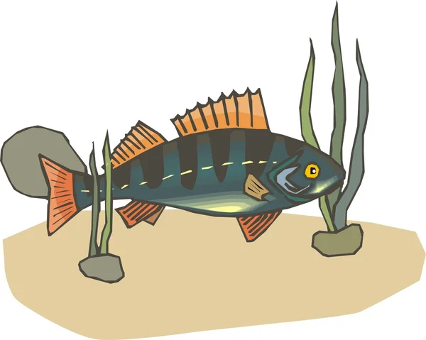 Schöner Fisch-Vektor auf Hintergrund — Stockvektor