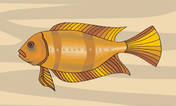 Beautiful Fish Vector On Background — Stok Vektör