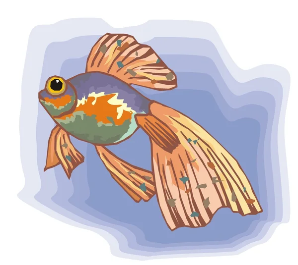 Beautiful Fish Vector On Background — Stok Vektör