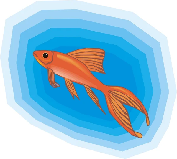 Beautiful Fish Vector On Background — Stock Vector