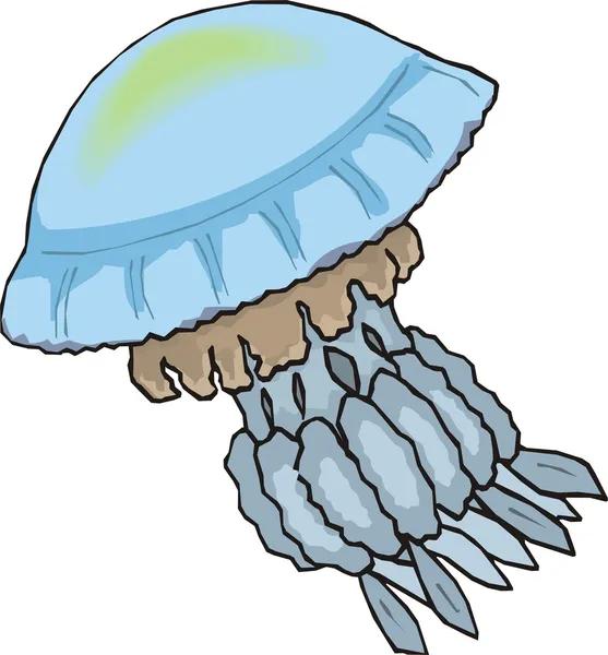 Vector de arte jelly fish — Archivo Imágenes Vectoriales