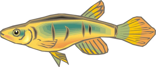 Όμορφο ψάρι διάνυσμα — Διανυσματικό Αρχείο