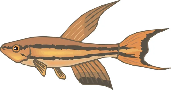 Ikan Vektor Indah - Stok Vektor