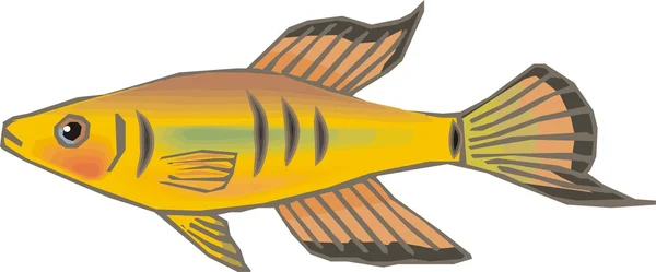 Krásná ryba vektor — Stockový vektor