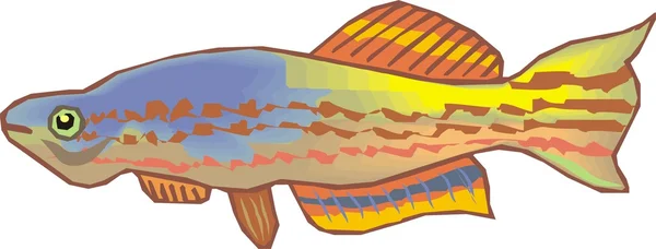 아름 다운 물고기 벡터 — 스톡 벡터