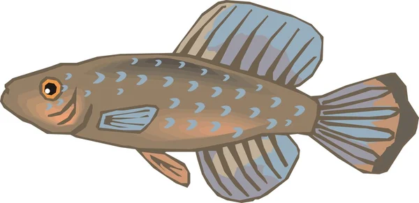 Güzel balık vektör — Stok Vektör