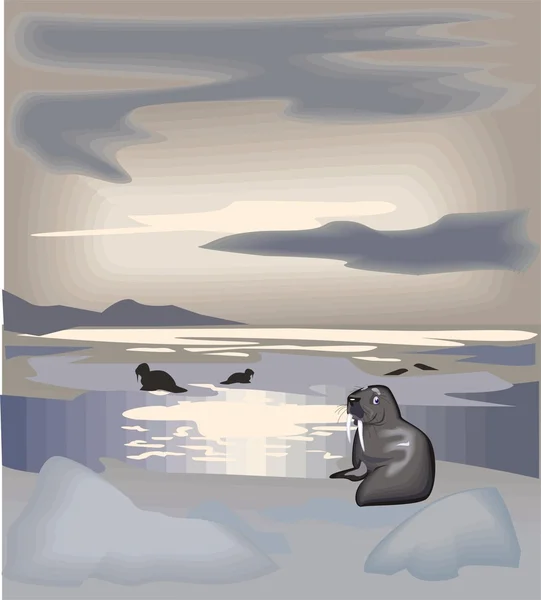 stock vector Vector illustration of a seal.