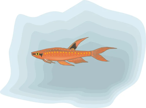 Vector de pescado hermoso en el fondo — Vector de stock