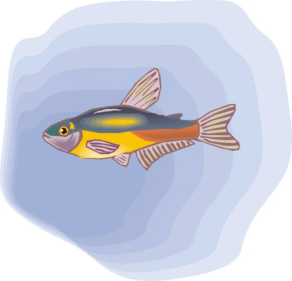 Ilustración de vectores de caballitos de mar — Vector de stock