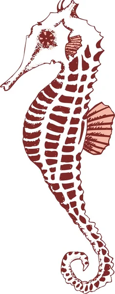 Seahorse vectorillustratie — Stockvector