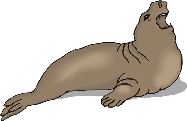 Vector illustration of a seal. — Stock Vector