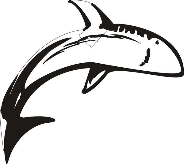 Shark Vector Illustration — Stock Vector