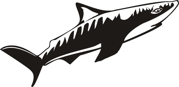 Köpekbalığı vektör çizim — Stok Vektör