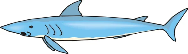 Illustrazione vettoriale squalo — Vettoriale Stock