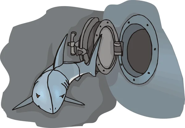 Ilustracja wektorowa rekin — Wektor stockowy