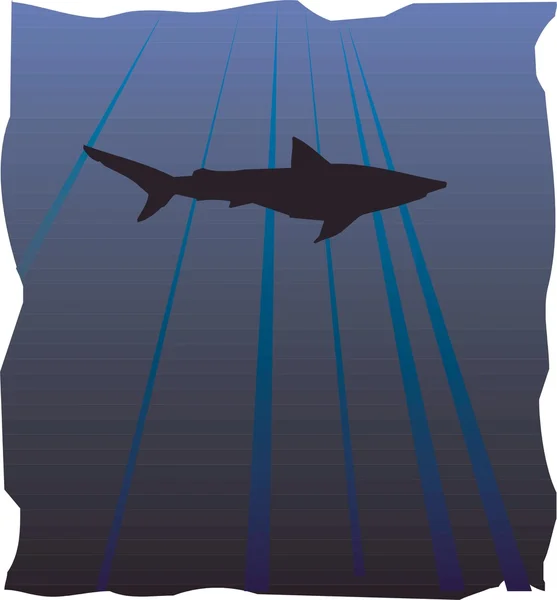 サメのベクトル図 — ストックベクタ
