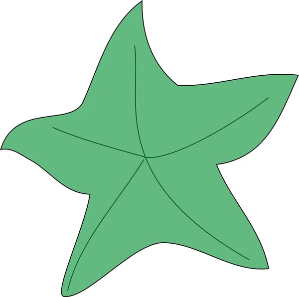 Vektorové ilustrace hvězdice — Stockový vektor