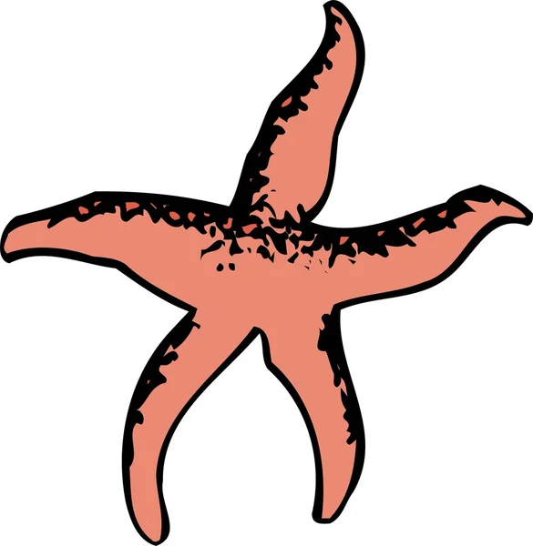 Vektör denizyıldızı çizimler — Stok Vektör