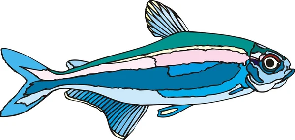Vector de pescado hermoso en el fondo — Archivo Imágenes Vectoriales