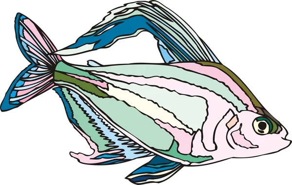Krásná ryba vektor — Stockový vektor
