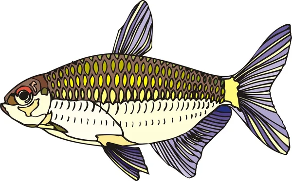 Vettore di pesce bello sullo sfondo — Vettoriale Stock