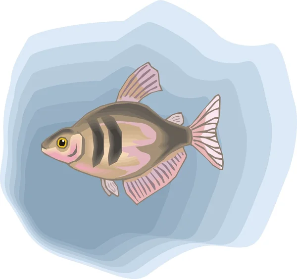 Vacker fisk vektor på bakgrund — Stock vektor