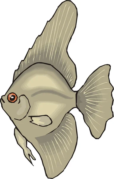 Όμορφο ψάρι διάνυσμα Royalty Free Εικονογραφήσεις Αρχείου