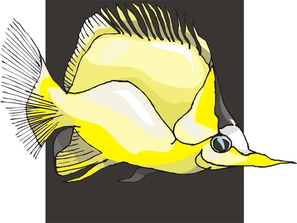 美しい魚のベクトルの背景 ロイヤリティフリーストックベクター