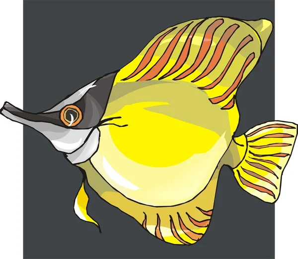 Piękna ryba wektor na tle Grafika Wektorowa