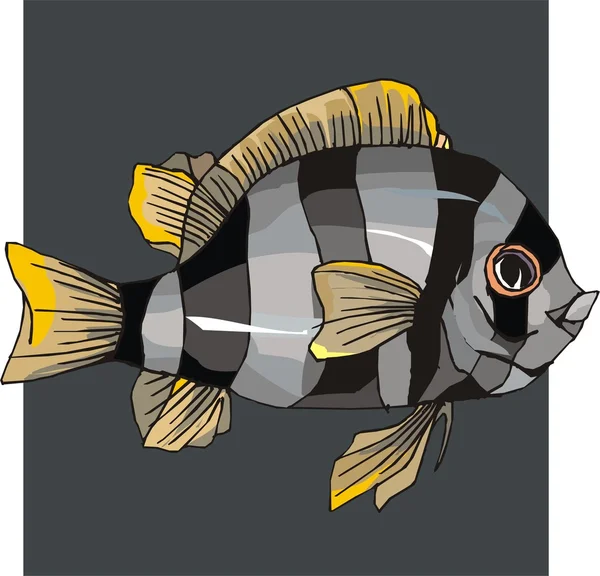 Vetor de peixe bonito no fundo Ilustração De Stock