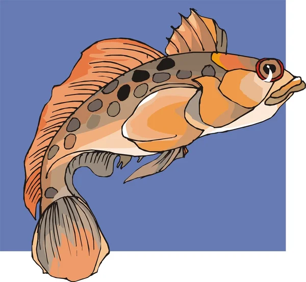 Beau vecteur de poisson sur fond Illustrations De Stock Libres De Droits
