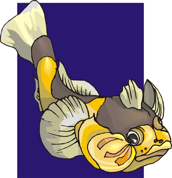 Krásná ryba vektor na pozadí Royalty Free Stock Ilustrace